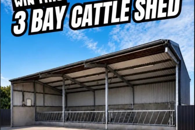 3 Bay Cattle Shed